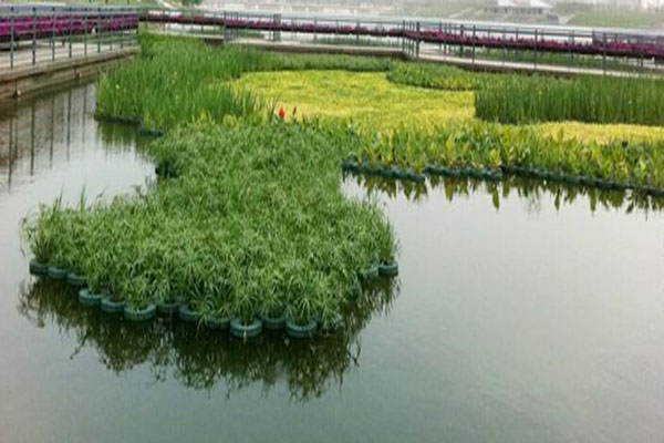 景觀水處理設備（學校、小區、旅游